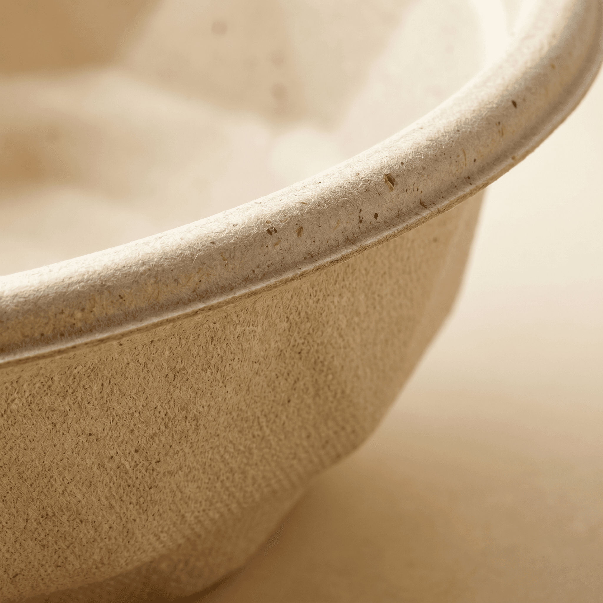 Macro detail of the matte molded sugarcane bagasse fiber surface and the wide rolled rim