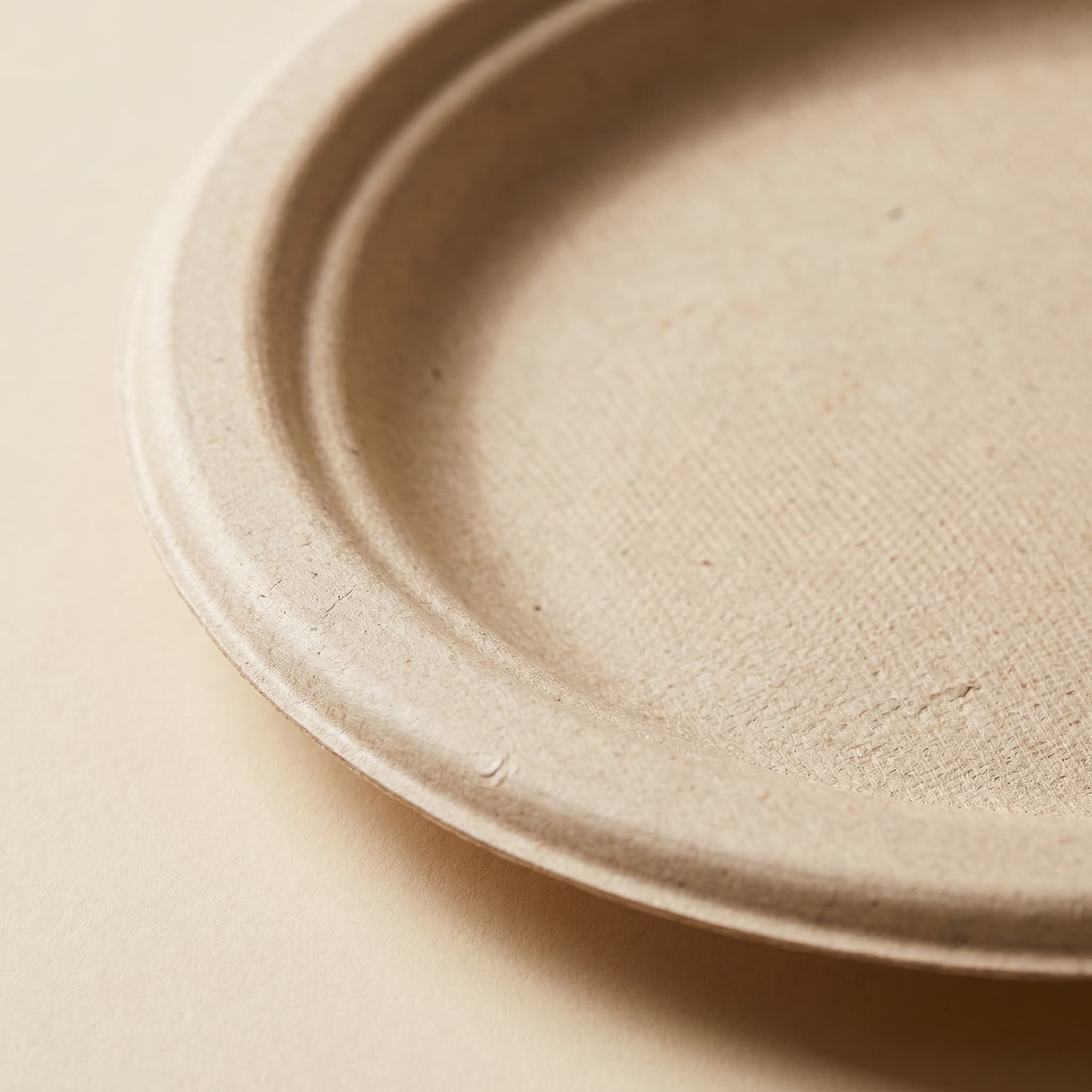 Macro detail of the matte molded sugarcane bagasse fiber surface and the raised concentric rim ring of the plate