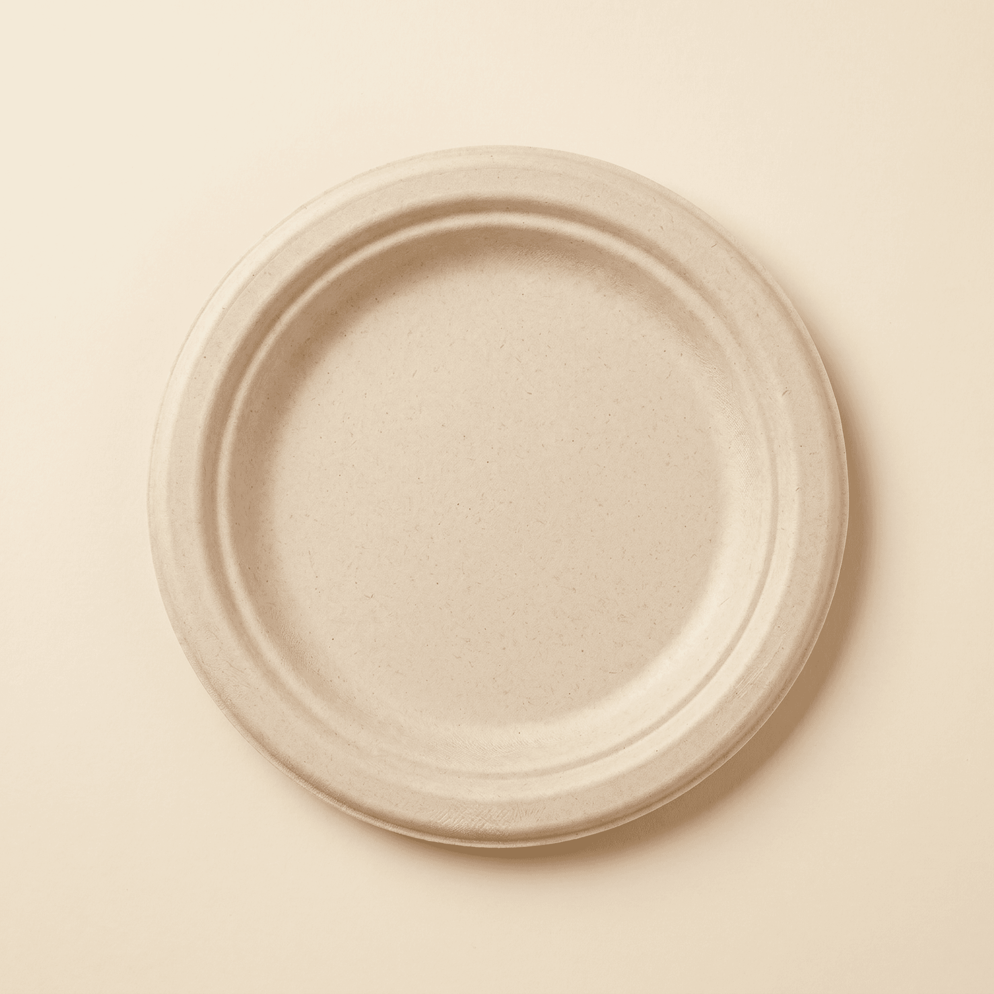 Top-down view of the empty 7-inch bagasse plate showing the wide flat rim, the single raised concentric rim ring, and the shallow central well